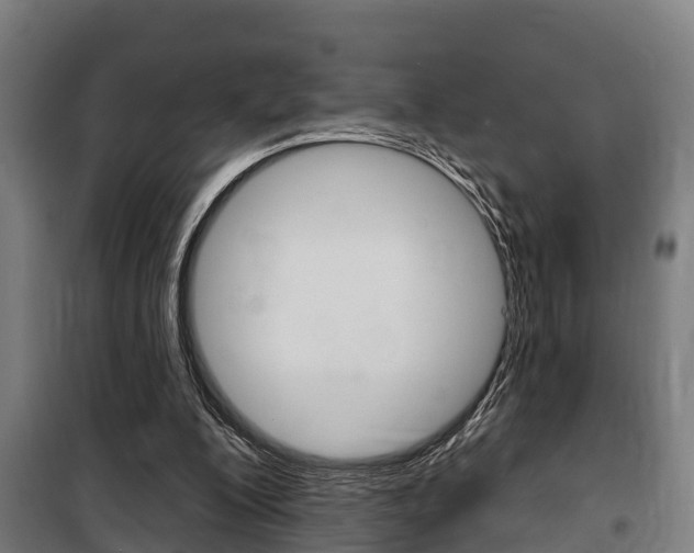 X0000100840200200806200746