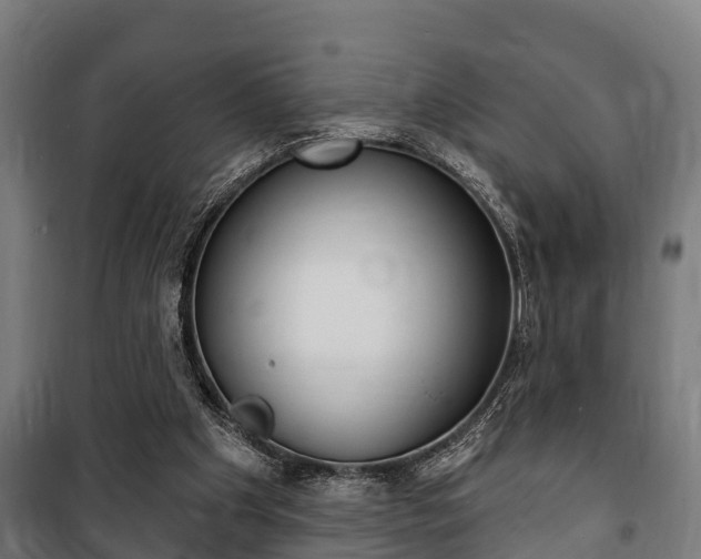 X0000100840201200806200746