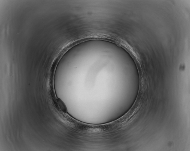 X0000100840203200806200746