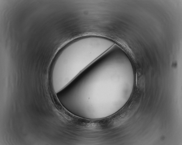 X0000100840204200806200746