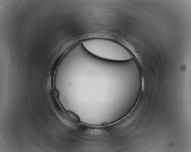 X0000100840205200806200746