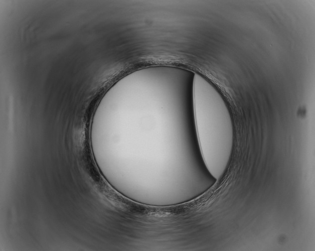 X0000100840206200806200746