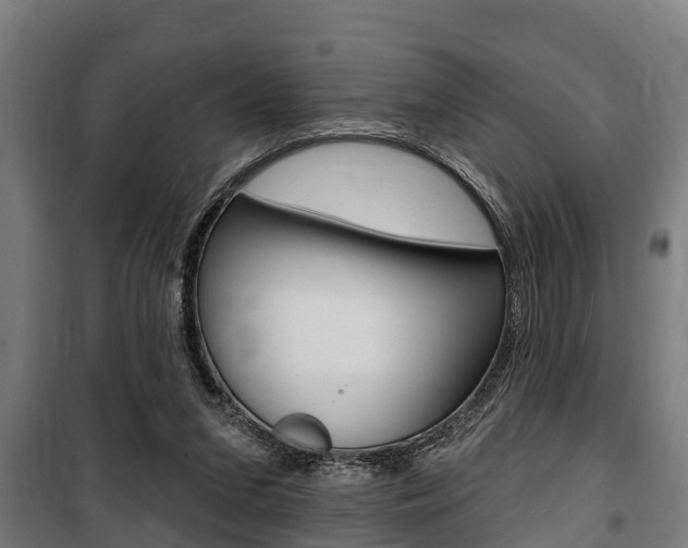 X0000100840207200806200746