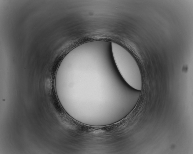 X0000100840210200806200746