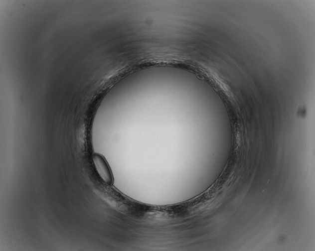 X0000100840211200806200746