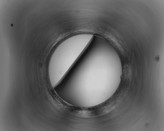 X0000100840212200806200746