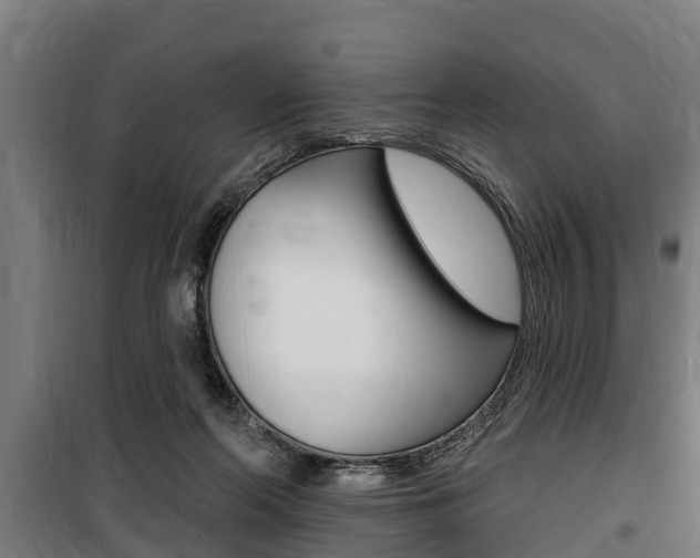 X0000100840214200806200746