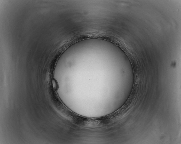 X0000100840215200806200746