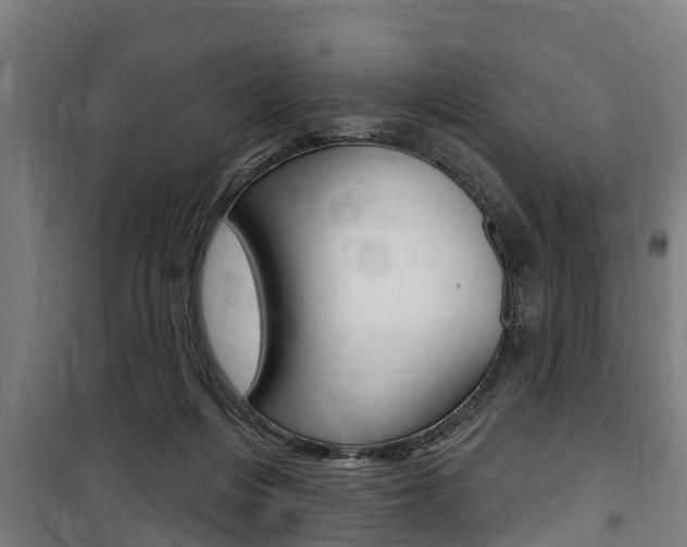 X0000100840216200806200746