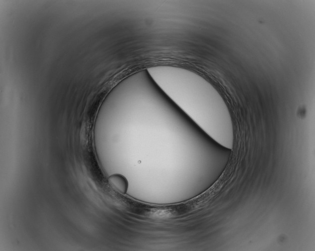 X0000100840218200806200746