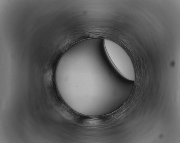 X0000100840219200806200746