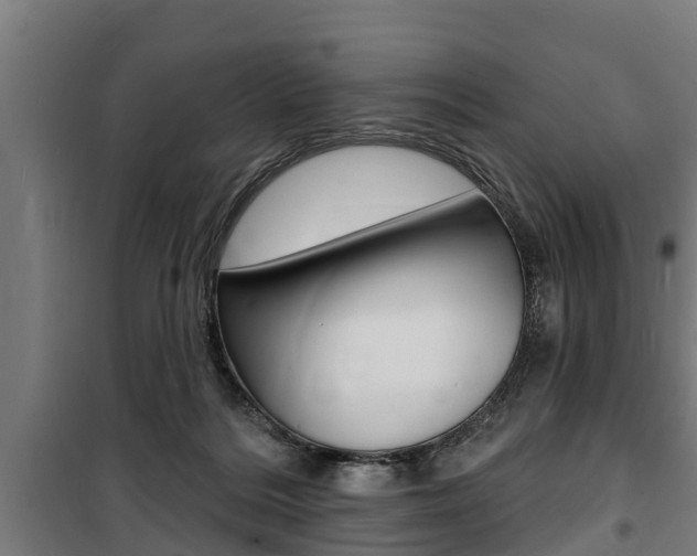 X0000100840220200806200746