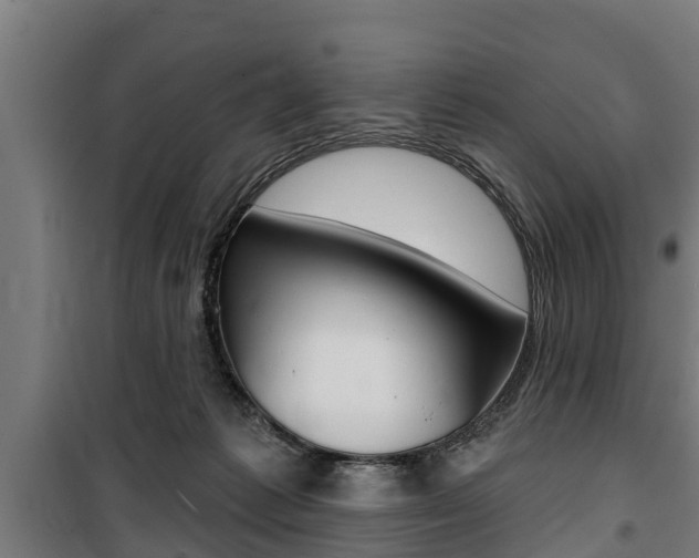 X0000100840221200806200746