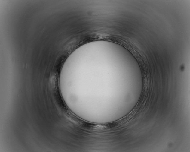 X0000100840222200806200746