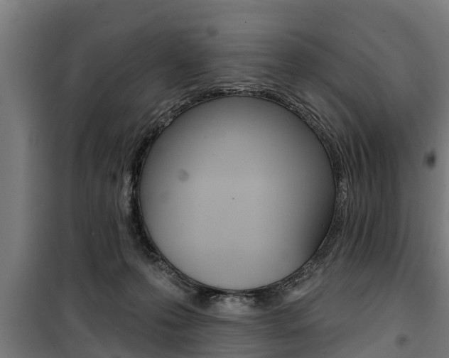 X0000100840223200806200746