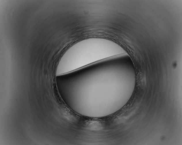 X0000100840224200806200746