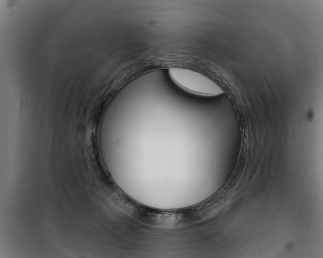 X0000100840225200806200746