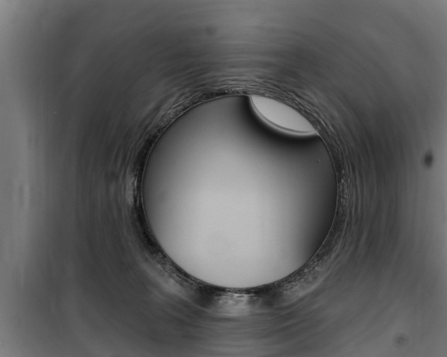 X0000100840227200806200746