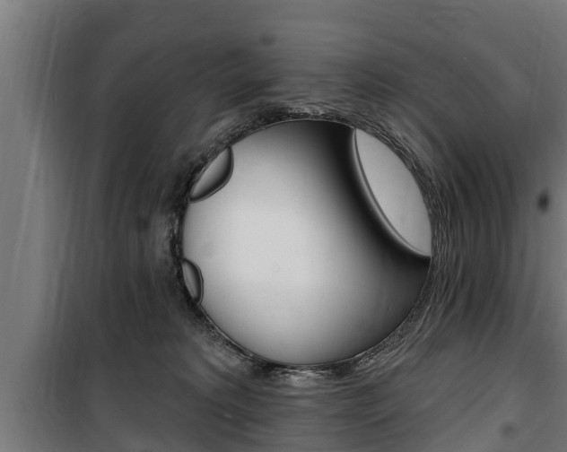 X0000100840229200806200746