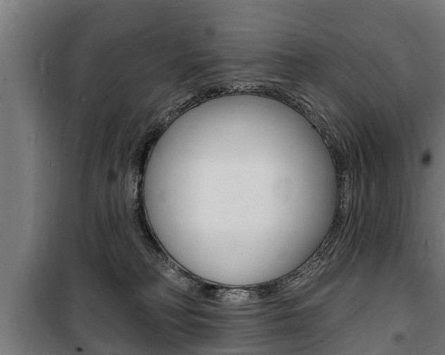 X0000100840230200806200746