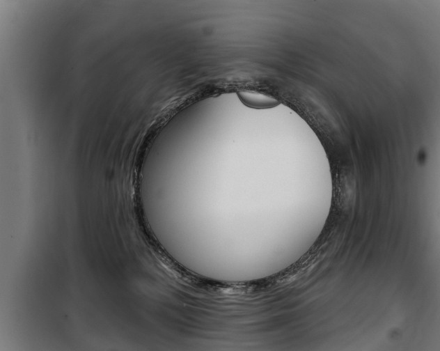 X0000100840232200806200746