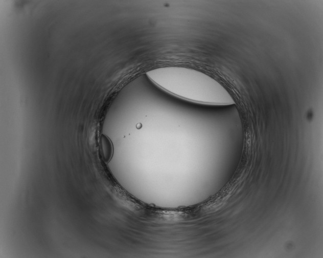 X0000100840233200806200745