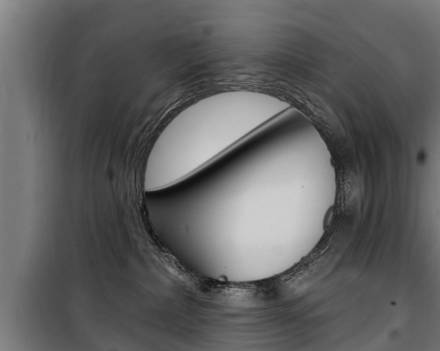 X0000100840236200806200745