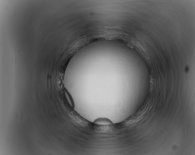 X0000100840237200806200745