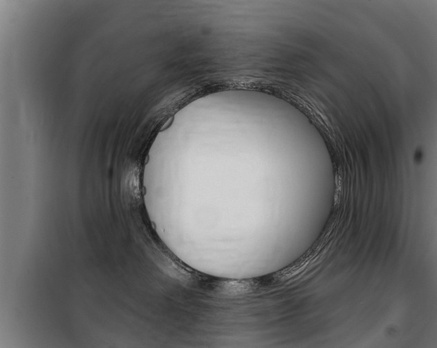 X0000100840238200806200745