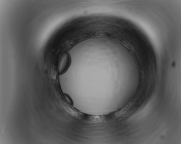 X0000100840239200806200745