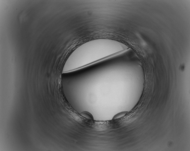 X0000100840240200806200745