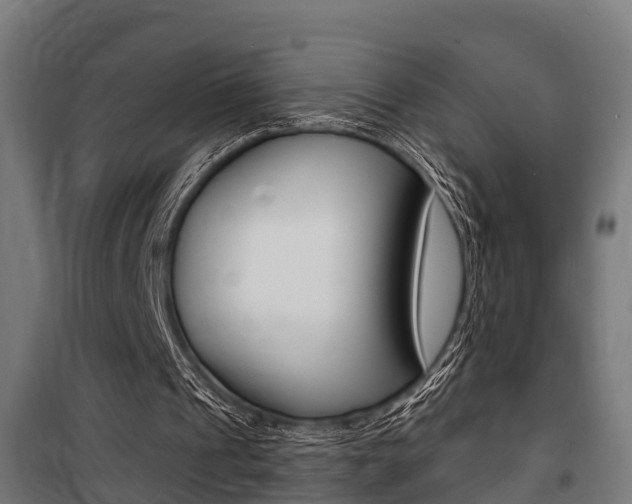 X0000100840241200806200745