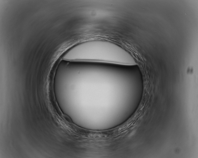 X0000100840242200806200745