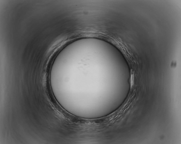 X0000100840243200806200745