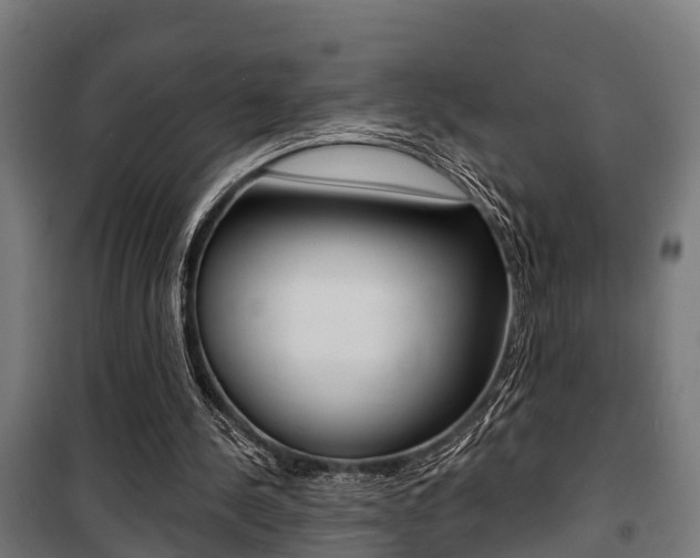 X0000100840244200806200745