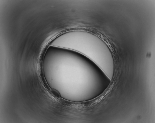 X0000100840245200806200745