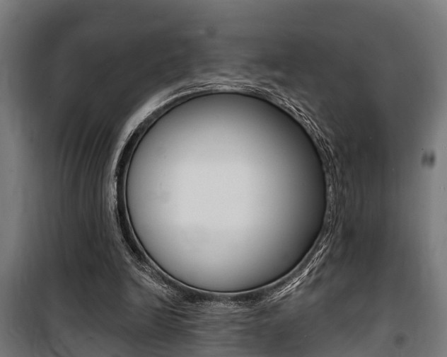 X0000100840246200806200745