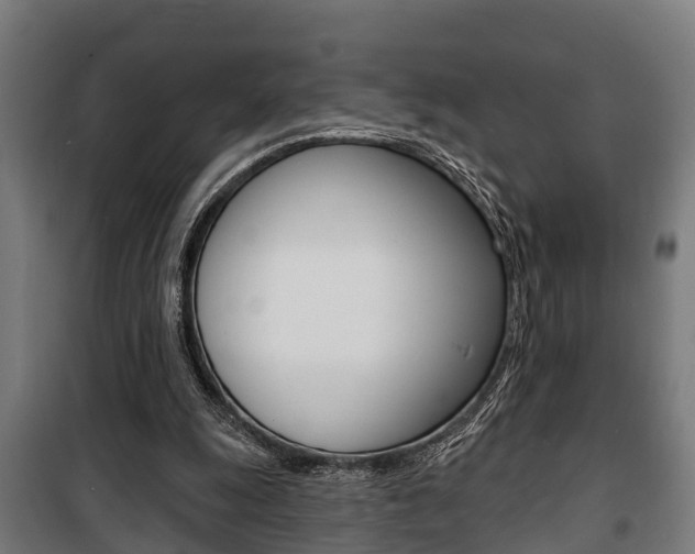 X0000100840247200806200745