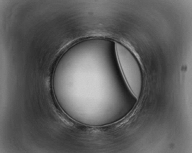 X0000100840249200806200745