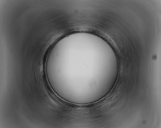 X0000100840251200806200745