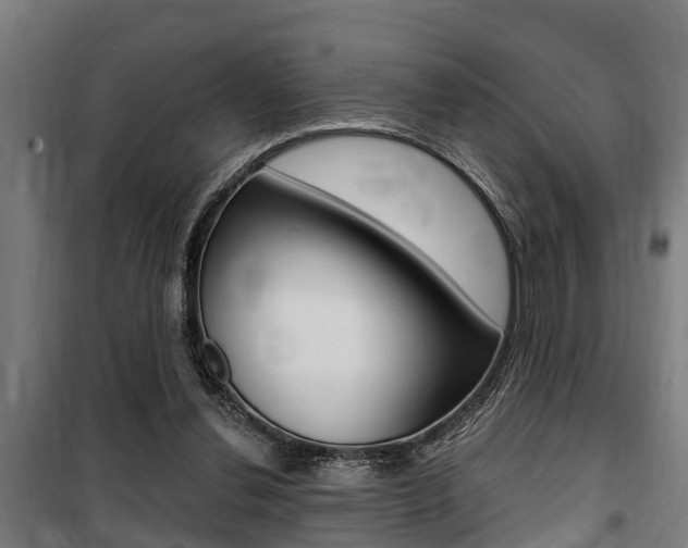 X0000100840252200806200745