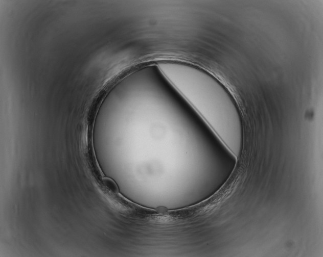 X0000100840253200806200745