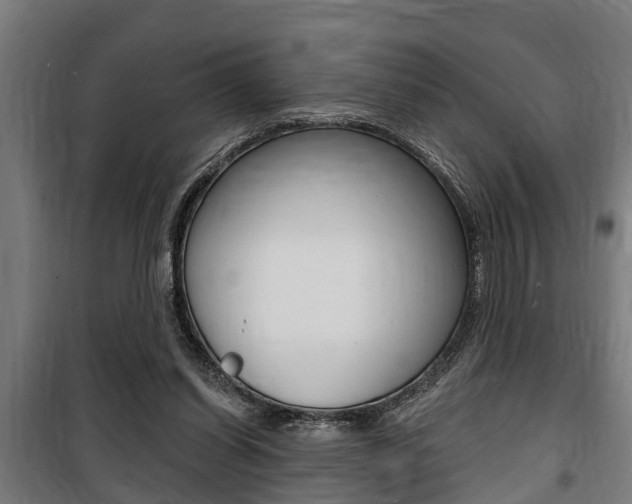 X0000100840254200806200745