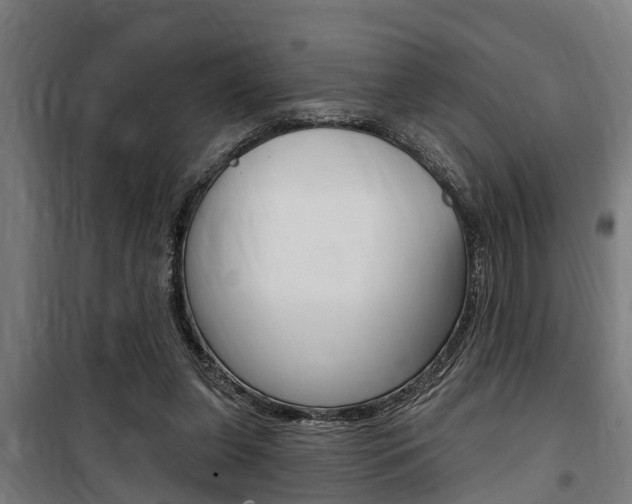 X0000100840255200806200745