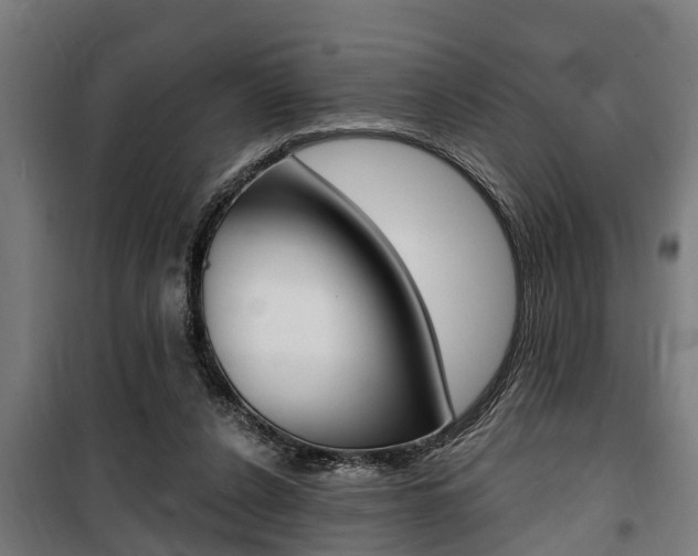 X0000100840256200806200745