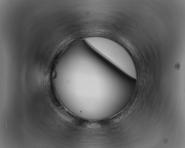 X0000100840258200806200745