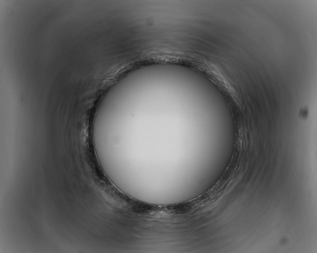 X0000100840259200806200745