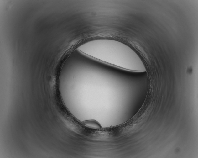 X0000100840260200806200745