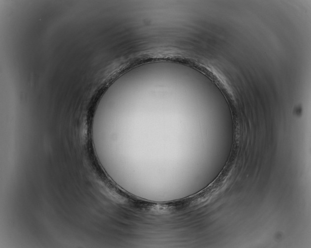 X0000100840261200806200745