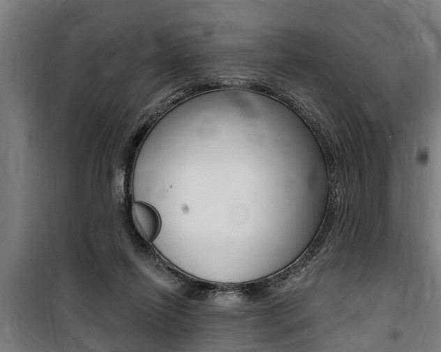 X0000100840262200806200745